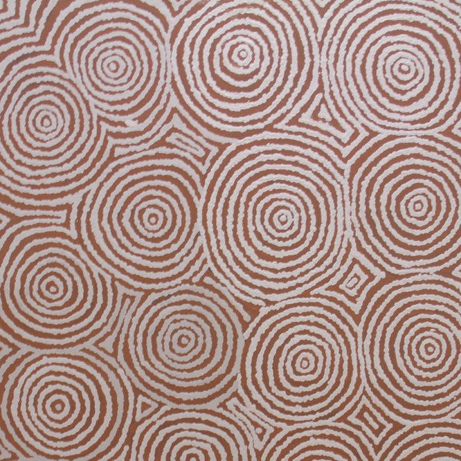 Tjala – Honey Ants