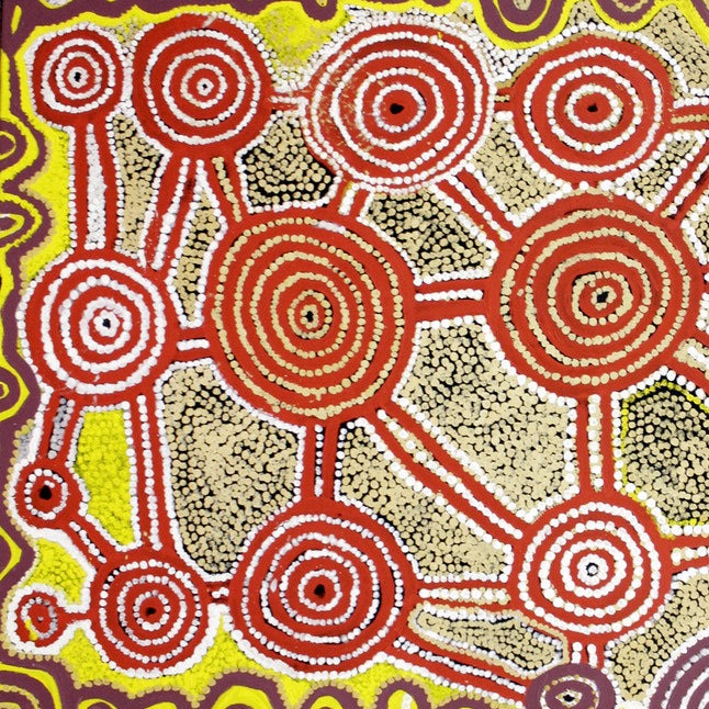 Parrtjartanya – The Story of The Native Cat